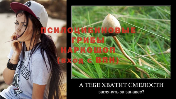 ешки Верхний Тагил